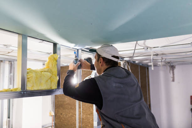 Best Residential Insulation in Bismarck, ND